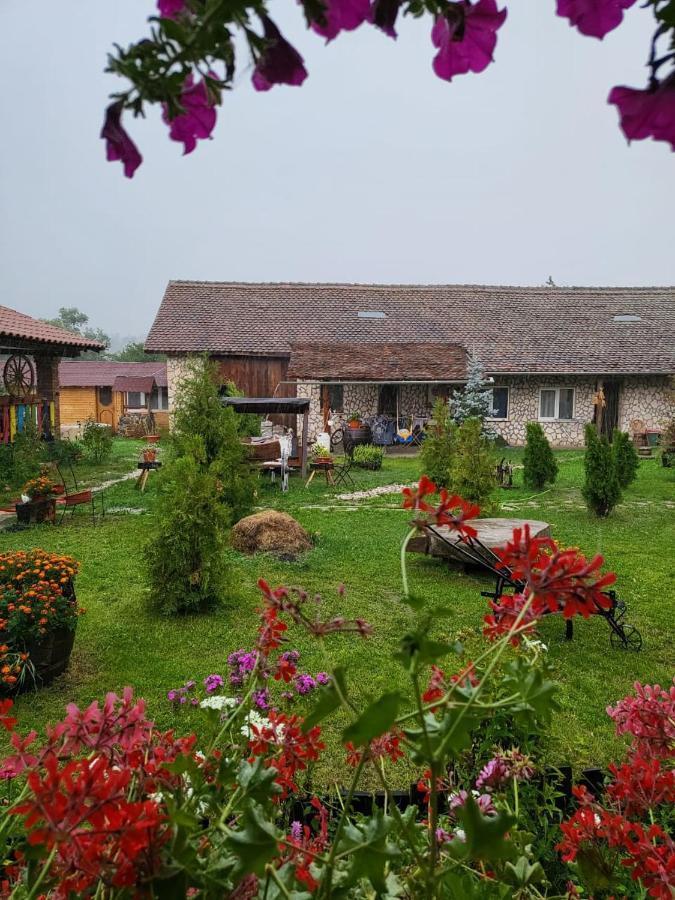 CincuCasa Maria公寓 外观 照片
