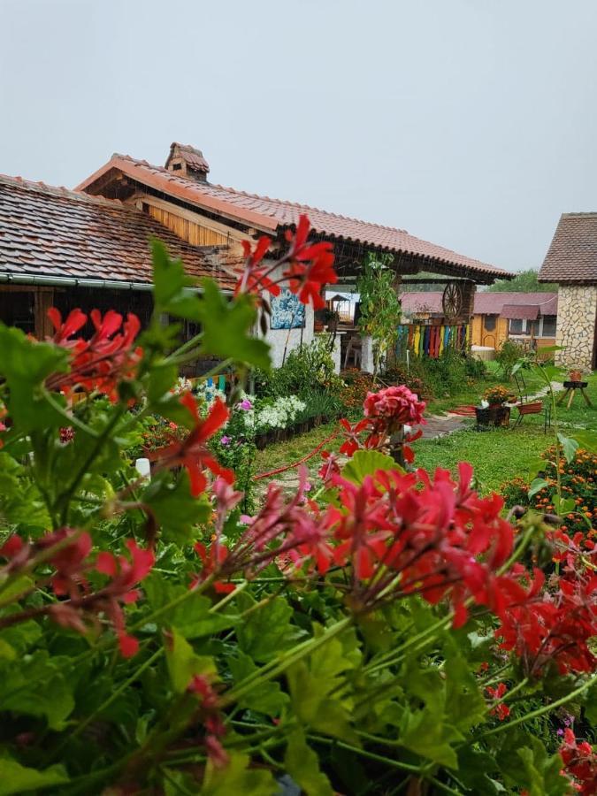 CincuCasa Maria公寓 外观 照片