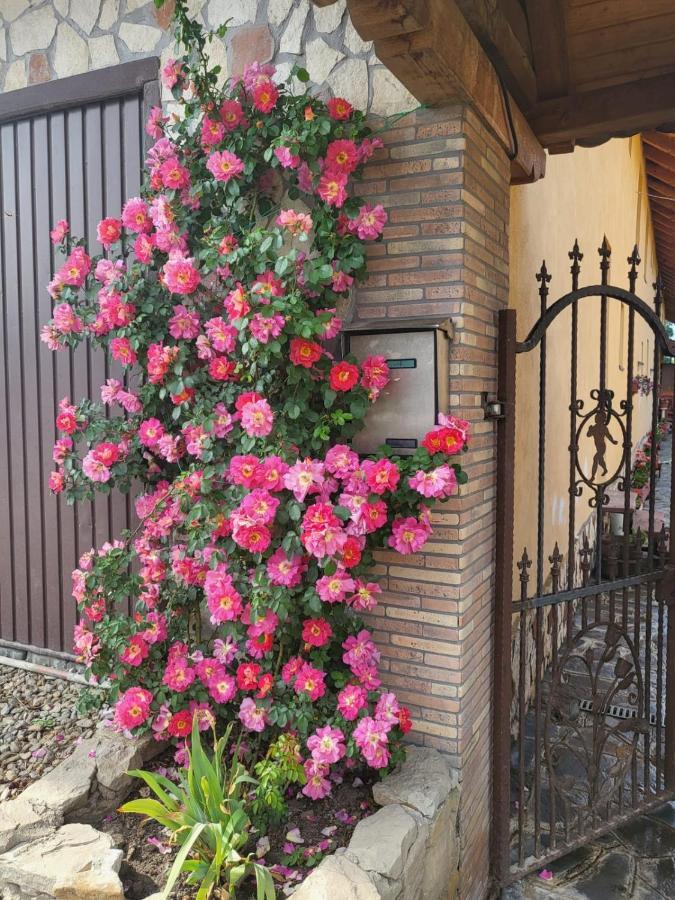 CincuCasa Maria公寓 外观 照片